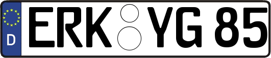 ERK-YG85
