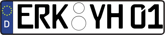 ERK-YH01
