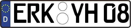 ERK-YH08