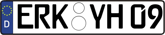 ERK-YH09