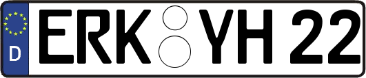 ERK-YH22