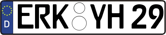 ERK-YH29