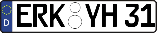 ERK-YH31