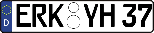 ERK-YH37
