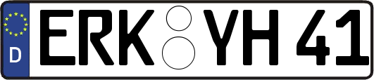 ERK-YH41