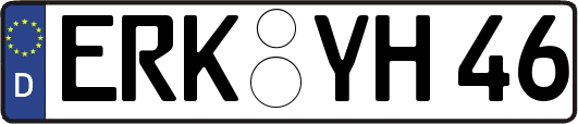 ERK-YH46
