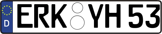 ERK-YH53