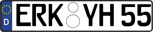 ERK-YH55
