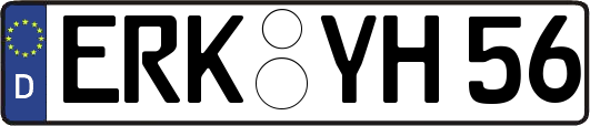 ERK-YH56
