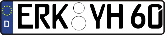 ERK-YH60