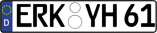 ERK-YH61