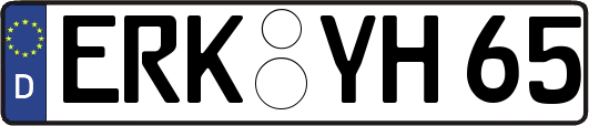 ERK-YH65