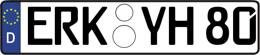 ERK-YH80