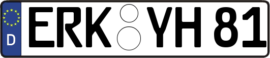 ERK-YH81