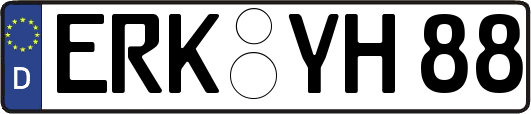 ERK-YH88