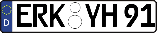 ERK-YH91