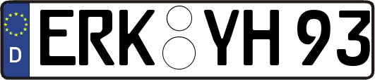 ERK-YH93