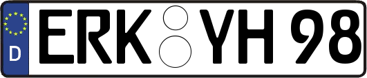 ERK-YH98