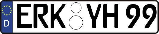 ERK-YH99