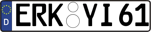 ERK-YI61