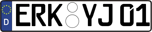 ERK-YJ01