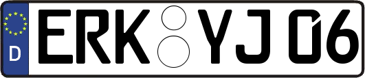 ERK-YJ06