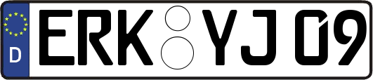 ERK-YJ09