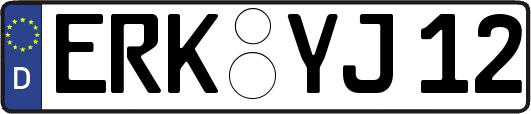ERK-YJ12