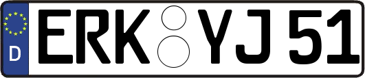 ERK-YJ51