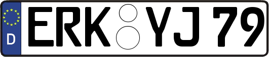 ERK-YJ79