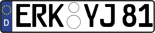 ERK-YJ81
