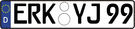 ERK-YJ99