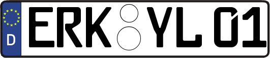 ERK-YL01