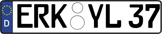 ERK-YL37