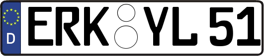 ERK-YL51