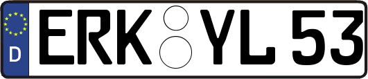 ERK-YL53