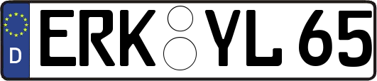 ERK-YL65