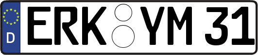 ERK-YM31