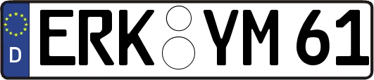 ERK-YM61