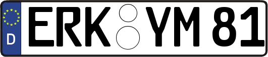 ERK-YM81