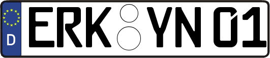 ERK-YN01