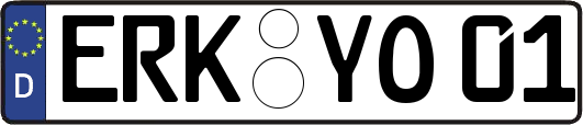 ERK-YO01