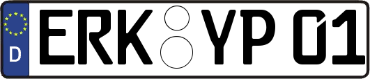 ERK-YP01