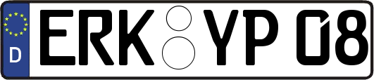 ERK-YP08