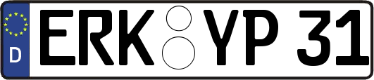 ERK-YP31