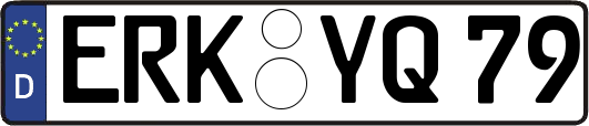 ERK-YQ79