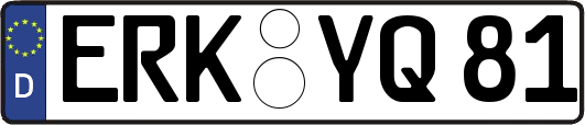 ERK-YQ81