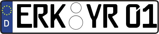 ERK-YR01