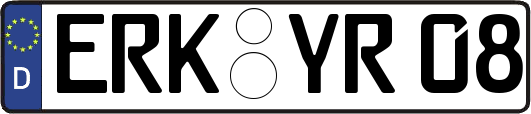ERK-YR08