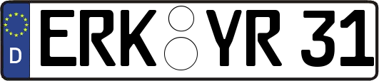 ERK-YR31